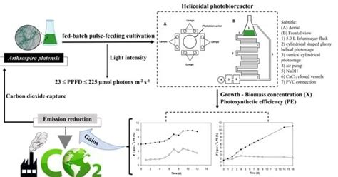 Applied Sciences Free Full Text Arthrospira Platensis Cultivation