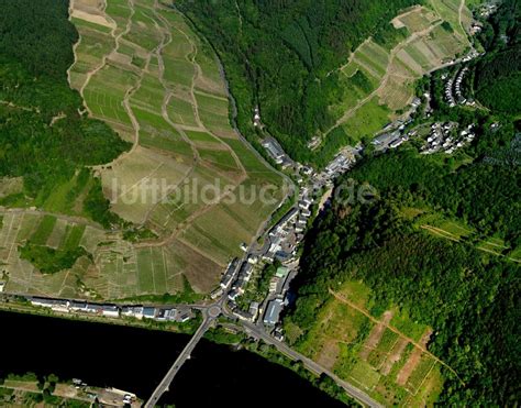 Luftaufnahme Zell Mosel Notenau Stadtteil Notenau Am Ufer Der Mosel