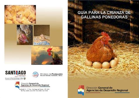 Pdf Gu A Para La Crianza De Gallinas Ponedoras Dokumen Tips