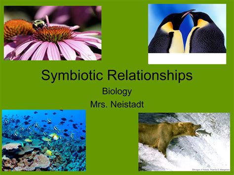Ecology: Symbiotic Relationships | PPT