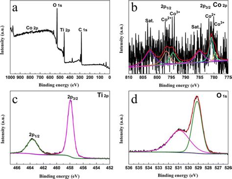 The Survey Xps Spectra A And High Resolution Xps Spectra Of Co 2p