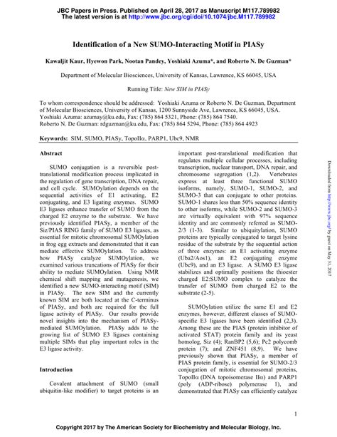 Pdf Identification Of A New Sumo Interacting Motif In Piasy