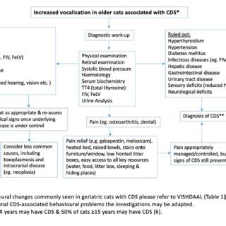 Algorithm for diagnosis of Cognitive dysfunction syndrome (CDS ...