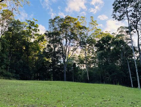 The Sanctuary Noosa Hinterland Hipcamp In Forest Acres Queensland