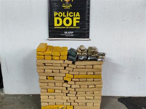 Polícia apreende mais de meio milhão de reais em maconha e haxixe