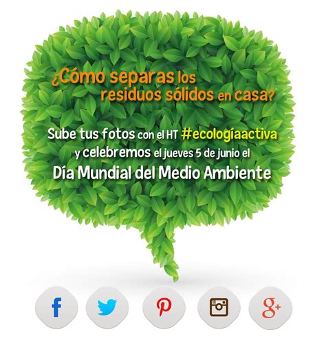 Celebremos el Día Mundial del Medio Ambiente ecologiaactiva