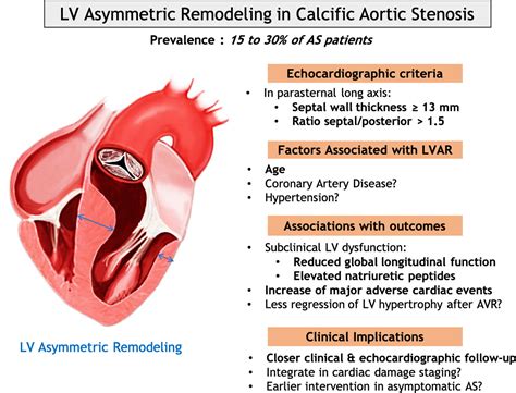 Left Ventricular Asymmetric Remodeling And Subclinical Left Ventricular