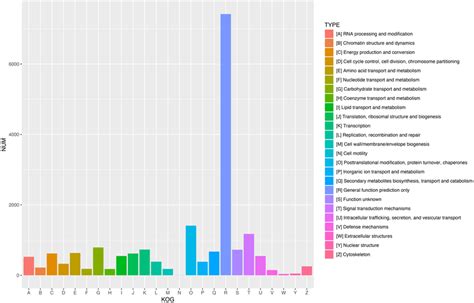 Kog Functional Classification Of All Unigenes A Total Of