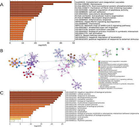 Discovery Of Core Fucosylated Glycopeptides As Diagnostic Biomarkers