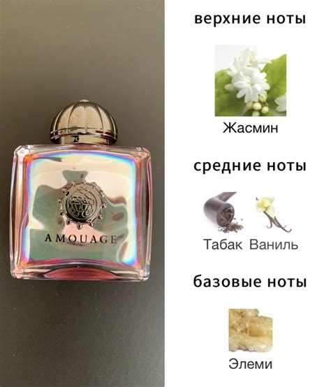 Amouage. Какие ароматы сейчас имею в своей парфюмерной коллекции ...
