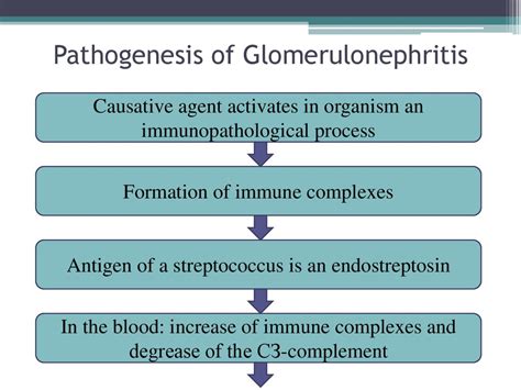 Acute And Chronic Glomerulonephritis презентация онлайн