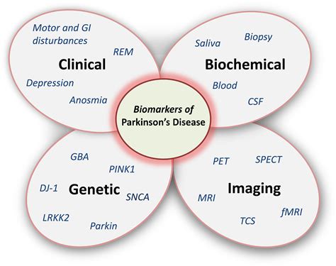 Parkinsonism And Related Disorders