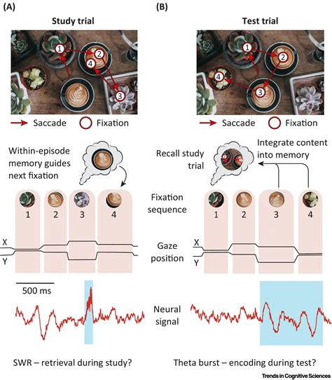 Actualit S Scientifiques M Dicales Trendsincognitivesciences