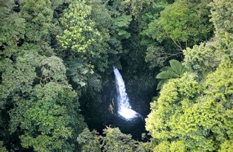 Deretan Penginapan Dekat Curug Cigamea Tarif Dijamin Hemat Di Review