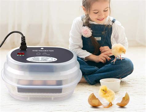 Top 10 Best Egg Incubators In 2024 Reviews Buyer S Guide