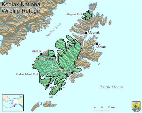 Kodiak Bear Hunting Guide