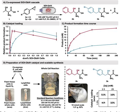 Figure 3 from Efficient chemoenzymatic synthesis of α aryl aldehydes as