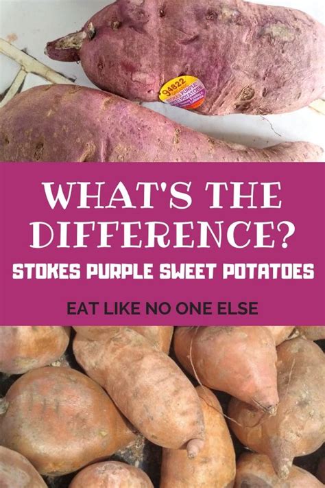 Stokes Purple Sweet Potatoes The Ultimate Guide