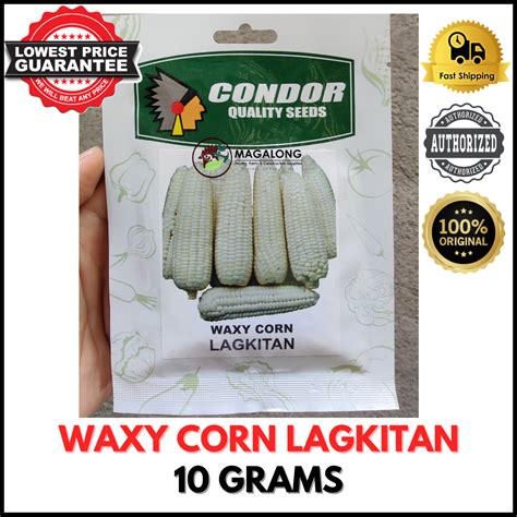 Condor Seeds Waxy Corn Seeds Lagkitan Grams Lazada Ph