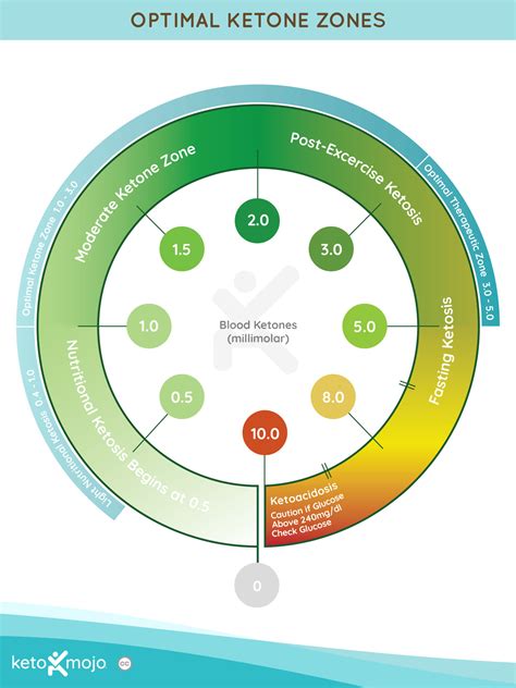 KETO-MOJO Help Center | What should my ketone level be?