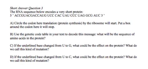 Solved The RNA sequence below encodes a very short protein: | Chegg.com 