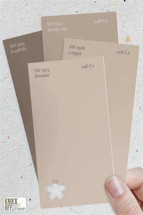 Sherwin Williams Shiitake Sw Your Best Beige For A Minimalist