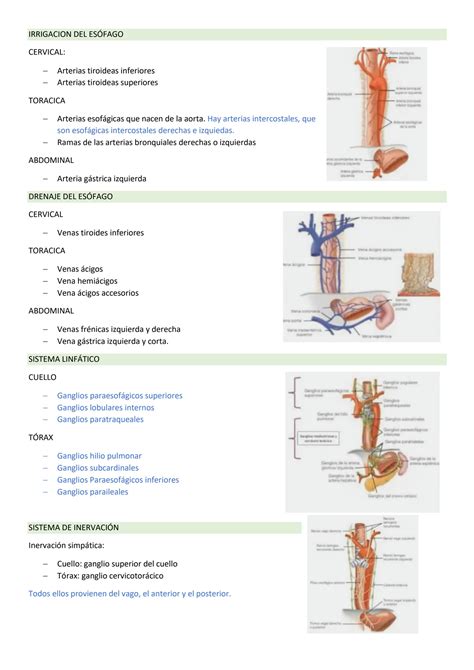 SOLUTION 1 Patologi A Quirurgica Del Eso Fago I Studypool