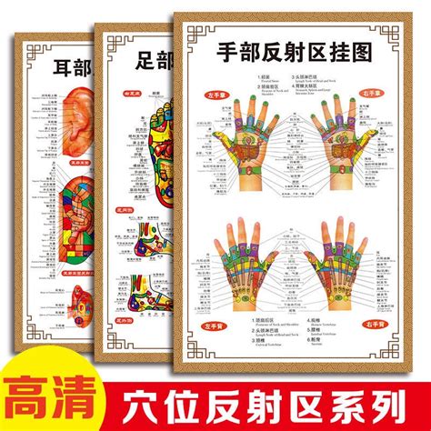 Big Promotion Human Body Foot Hand Ear Head Acupoint Chart Reflection