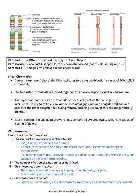 SOLUTION Cambridge AS Level Biology Chapter 5 The Mitotic Cell Cycle