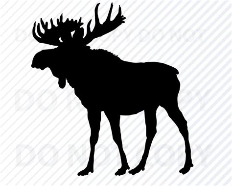 Moose Lodge Logo Vector at Vectorified.com | Collection of Moose Lodge ...