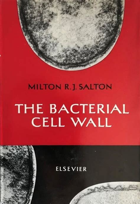 The Bacterial Cell Wall.