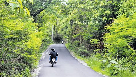 Minim PJU 40 Persen Wilayah Jalan Kabupaten Dan Hutan Blora Masih