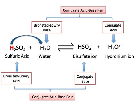 18 Enigmatic Facts About Bronsted-Lowry Acid-Base Theory - Facts.net