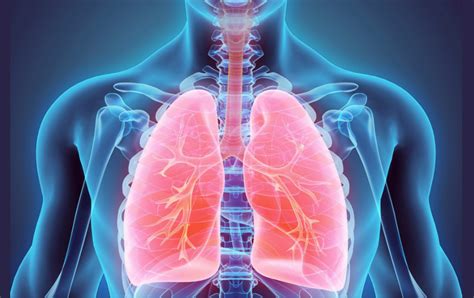 Ch Alterations Of Pulmonary Function Diagram Quizlet