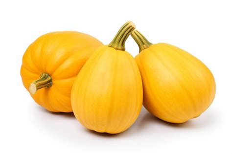 Premium Photo | Fresh Harvest Squash