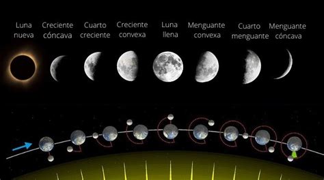 Fases De La Luna Cuáles Son Y Cuándo Suceden