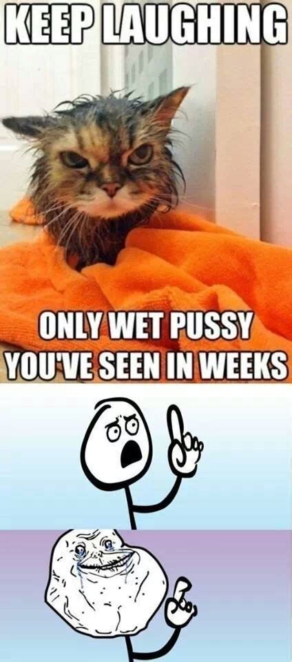 Y U Do This Pussy Cat Meme By Pussy Slayer Memedroid