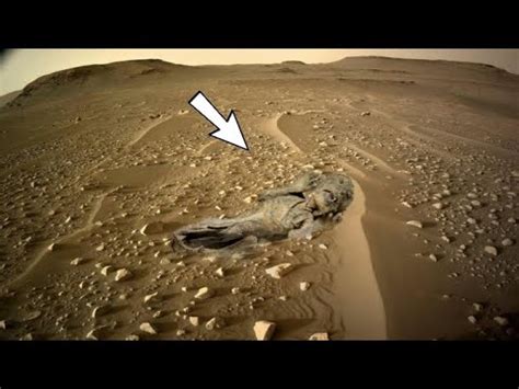 Perseverance Rover Sol Nasa S Mars Rover Live Captured Latest