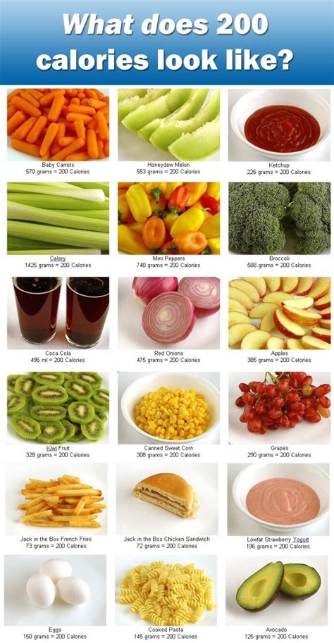 What Does 200 Calories Look Like A Comparison And 200 Calorie Snack Ideas Musely