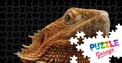 Portrait Of A Bearded Dragon Jigsaw Puzzle Art Painting Puzzle Garage