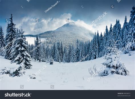 Snow: Over 8,844,481 Royalty-Free Licensable Stock Photos | Shutterstock