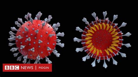 Coronavirus Symptoms Ghana Don Record First Cases Of Covid 19 Outbreak