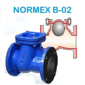 » Normex Valve » normex valve