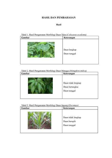 Laprak Biologi Morfologi Daun BAB IV - HASIL DAN PEMBAHASAN Hasil Tabel ...