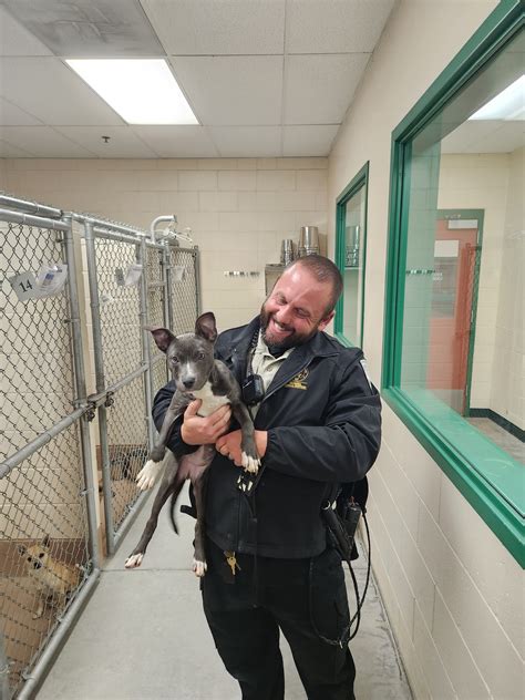 washoe county animal control 6