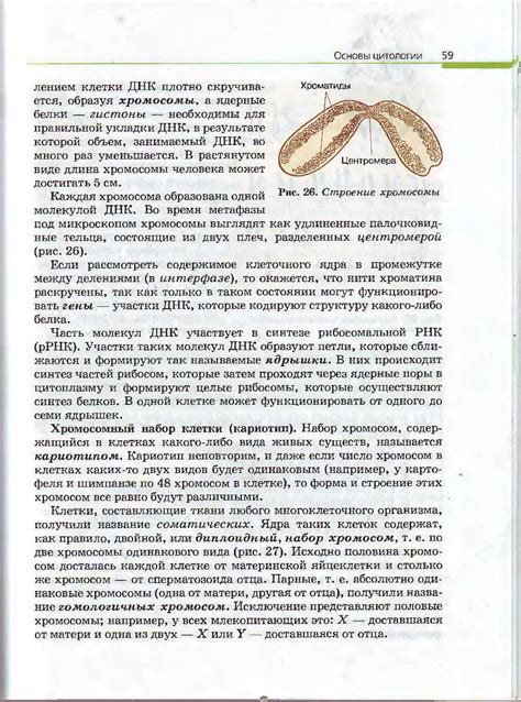 Биология. Общая биология. 10-11класс - Каменский А.А, Криксунов Е.А ...