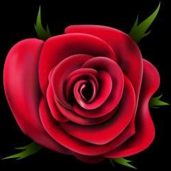 Beautifull Naked Models Page 1 STLFinder