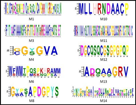 The Conserved Sequence Motifs Represented As Weblogos Possessed By