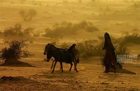 Thar Desert: The Struggle for a Drop of Water – Agustinus Wibowo ...