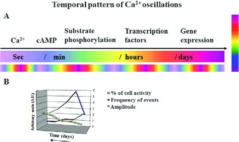 Patterns Of Calcium Oscillation Depicted By Frequency And Amplitude On